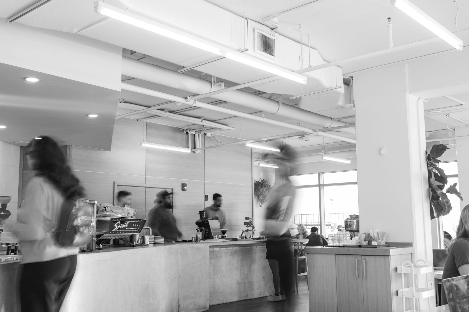 Professional image representing Mvp scale: edtech business