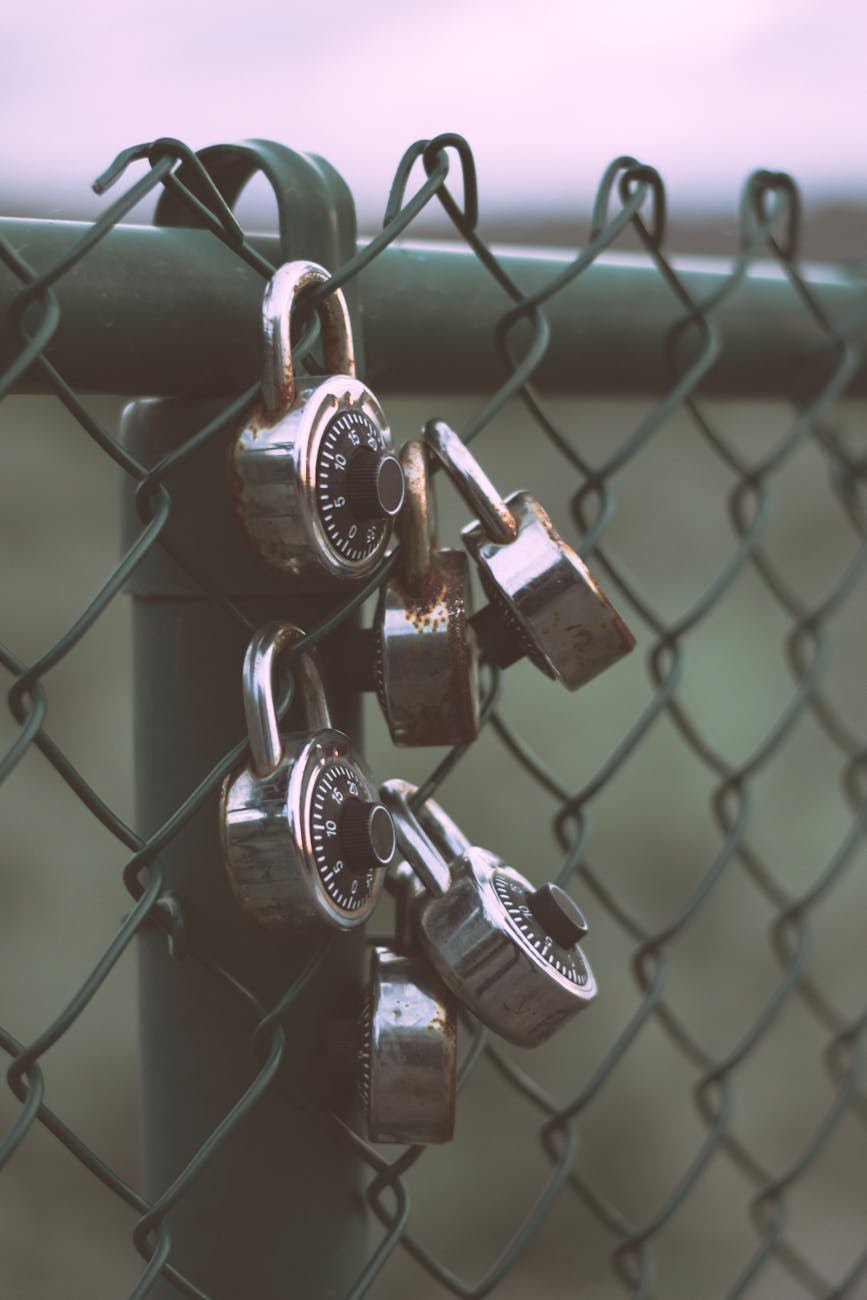 Multiple padlocks securing a green chain link fence, symbolizing safety and protection.